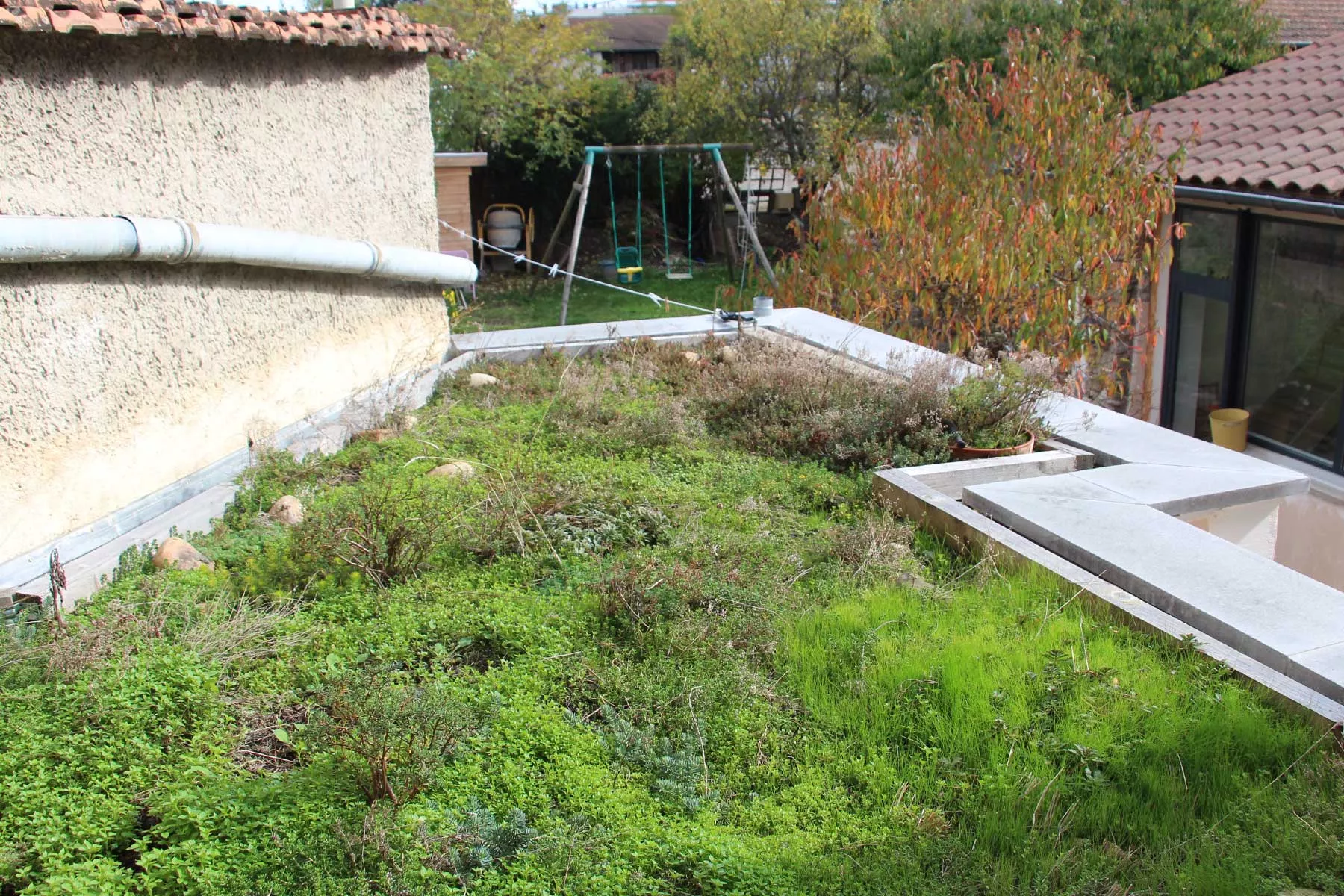 Retour d'éxpérience et entretien du toit végétal