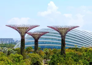 Une forêt artificielle à Singapour