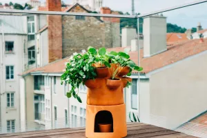 Ceercle : potager urbain et compost intégré