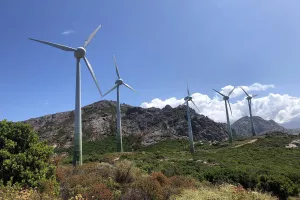 Petit éolien, grands soucis - Renouvelle