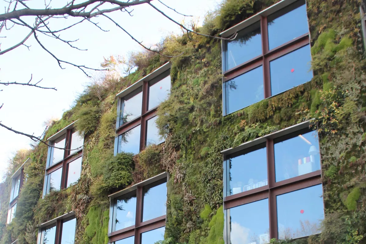 Architecture et végétal, végétalisation des villes