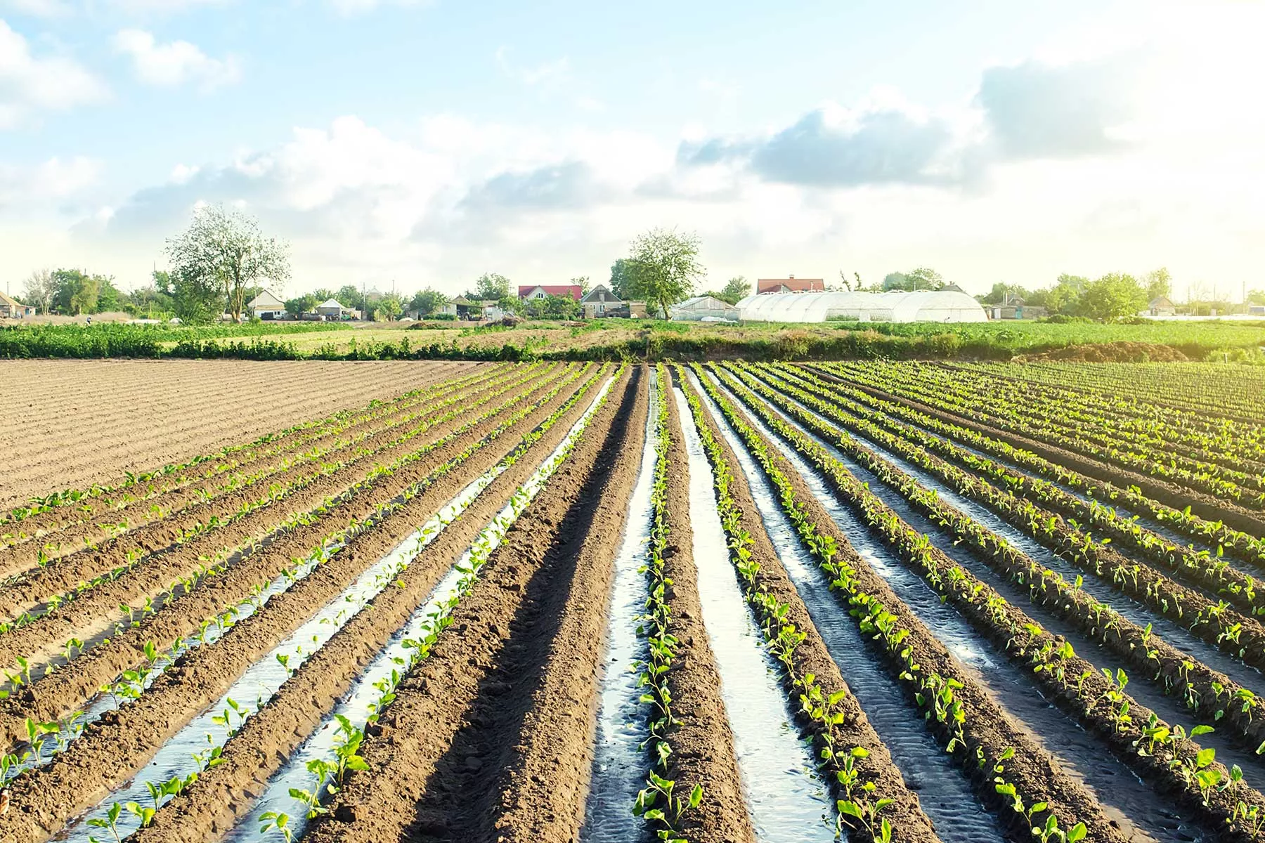 Pompe à eau solaire pour l'irrigation de l'agriculture