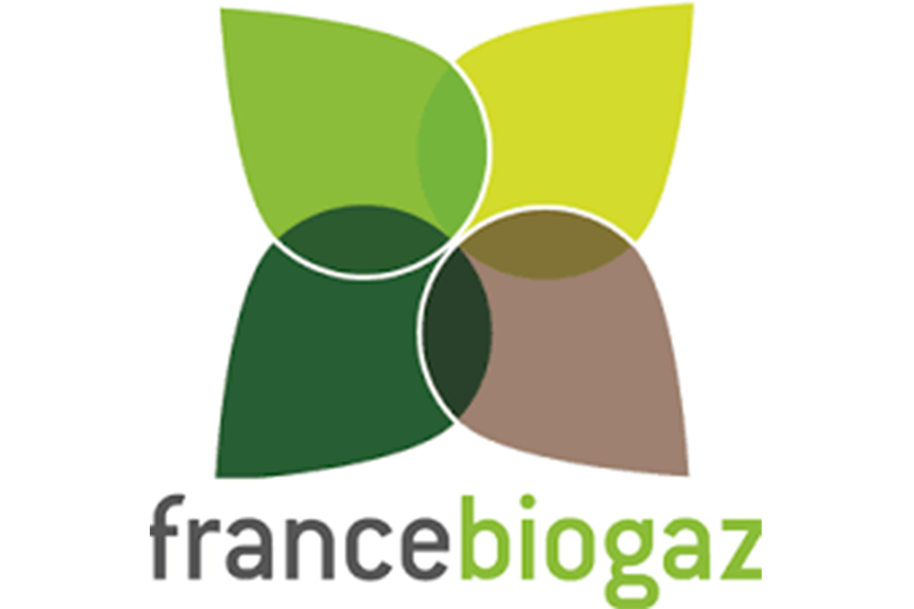 France Biogaz Conception, développement et réalisation d'unités de méthanisation à
Strasbourg