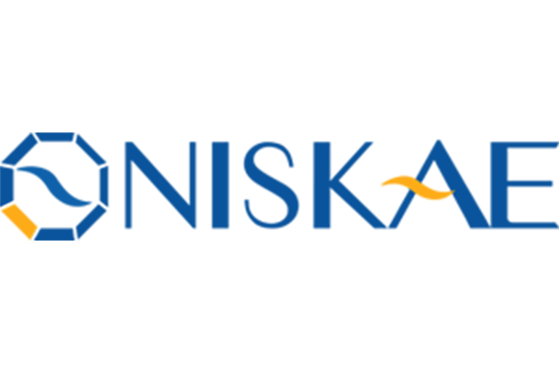 Niskae Solutions pour le traitement des eaux à
                    Lyon
